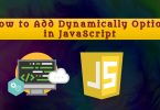 How to Add Dynamically Option in JavaScript